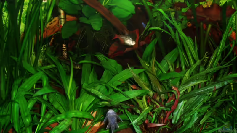 03.01.10 nur hinterer Leuchtbalken an von ~Marco~ (25)