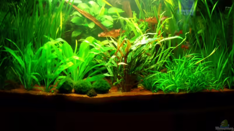 03.01.10 von ~Marco~ (9)