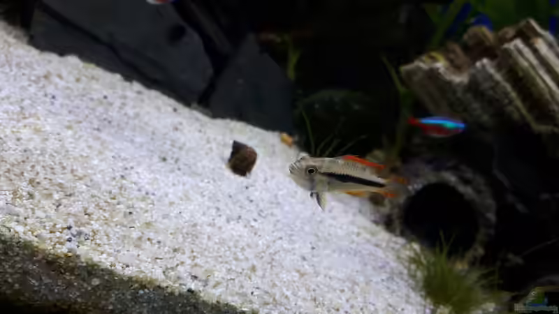 03.01.15 von .Andreas. (111)