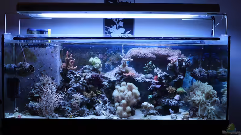 03.01.2015 von Jane Vogeler (37)