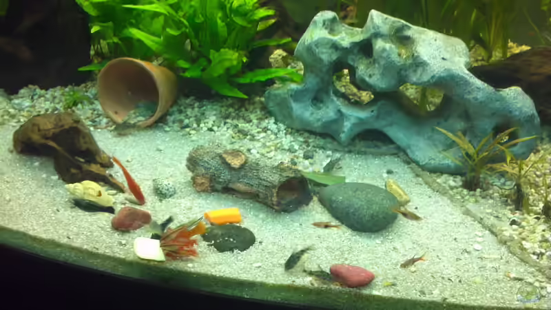 03.02.2012 von baw (9)