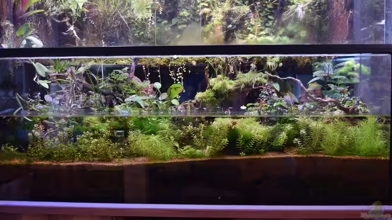 03.02.2018 Land unter von Junglist (4)