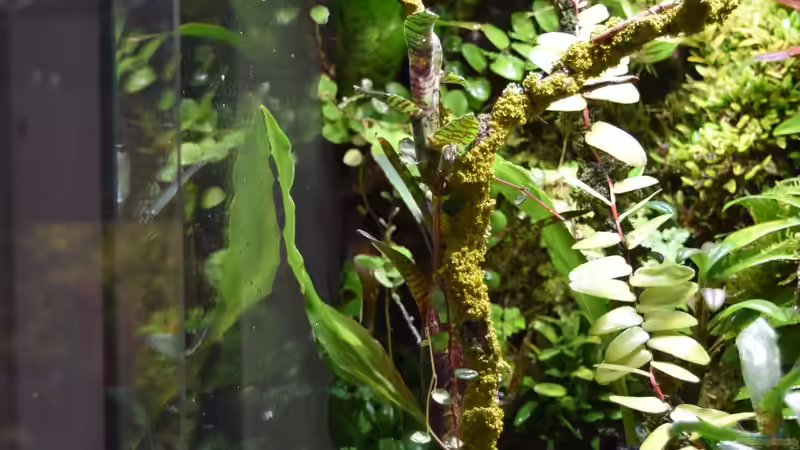 03.02.2020 von Junglist (10)