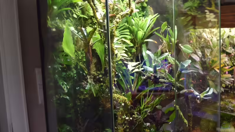 03.02.2020 von Junglist (11)