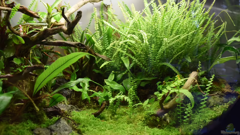 03.02.2020 von Junglist (14)