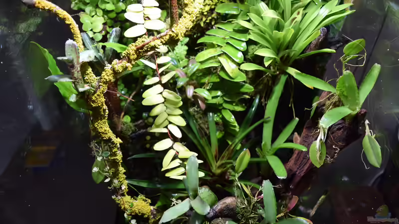 03.02.2020 von Junglist (8)