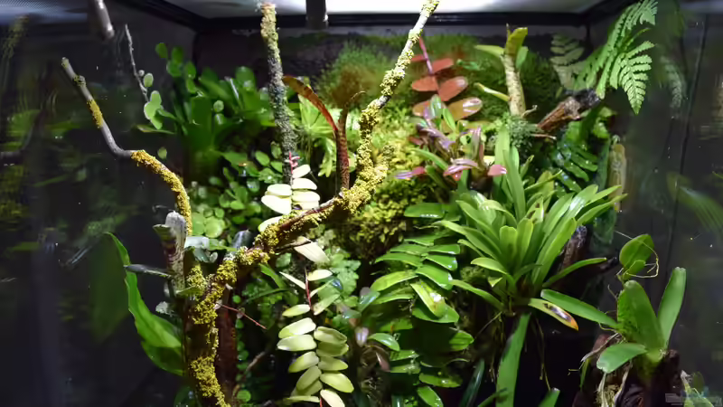 03.02.2020 von Junglist (9)