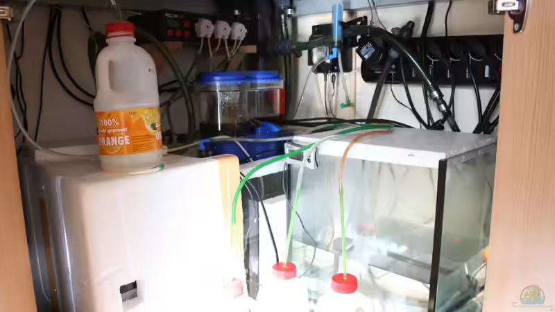 03.03.2012 von Susanne Axt (33)