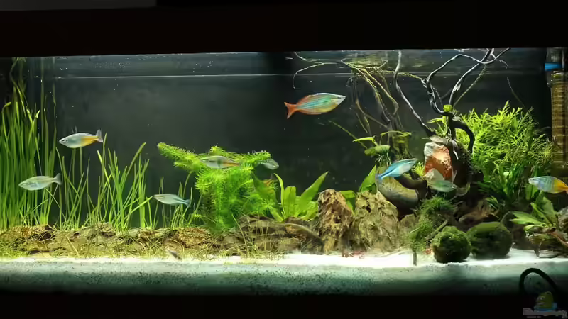 03.03.2013 Becken Status Gesamt von David B (13)