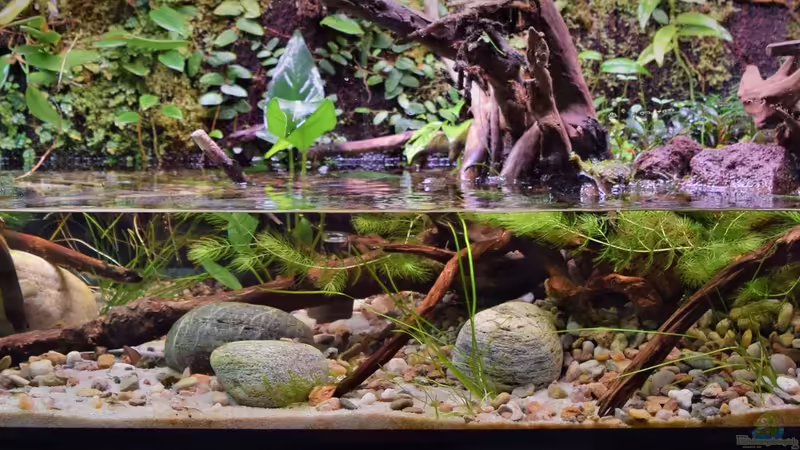 03.03.2019 von Junglist (6)