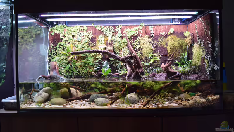 03.03.2019 von Junglist (7)