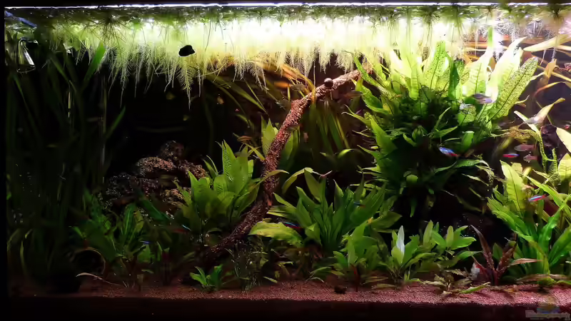 03.04.14 von Dieter (4)