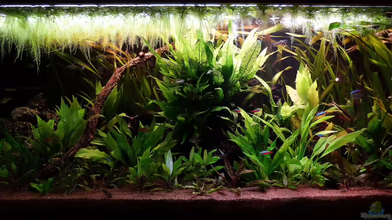 03.04.14 von Dieter (5)