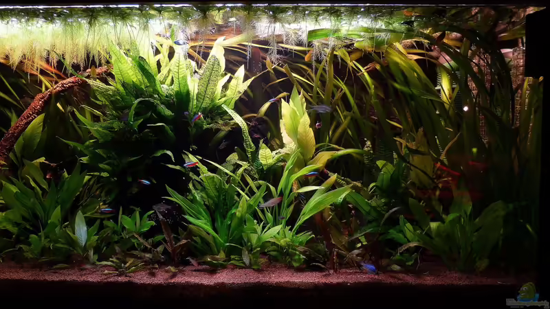 03.04.14 von Dieter (6)