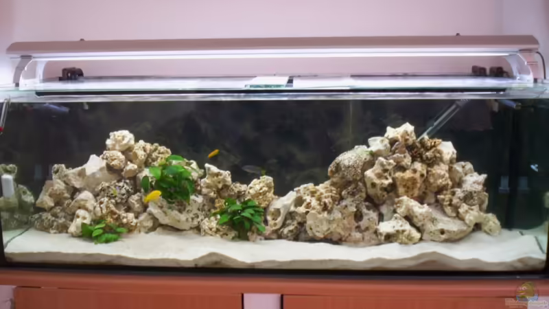 03.05.2009 von Daniel Hermans (1)