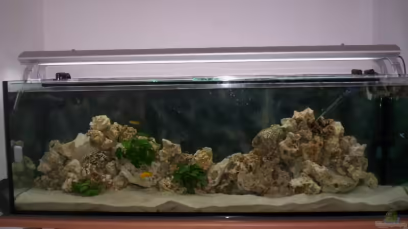 03.05.2009 von Daniel Hermans (7)