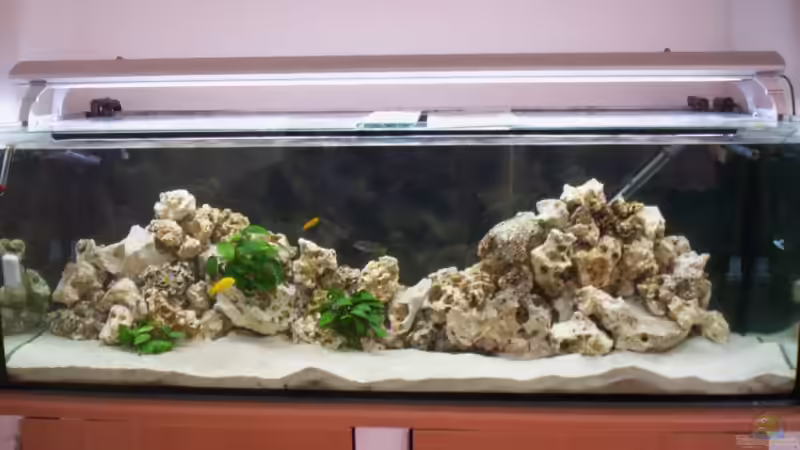 03.05.2009 von Daniel Hermans (8)