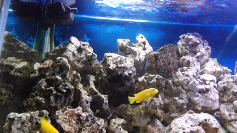 03.05.2012 von Miese97 (5)