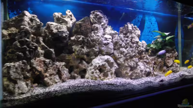 03.05.2012 von Miese97 (7)