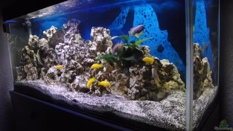 03.05.2012 von Miese97 (8)