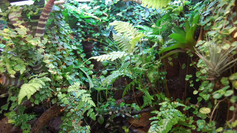 03.05.2014 von Junglist (44)