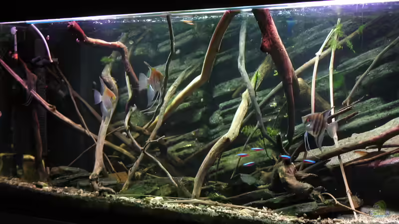 03.05.2016 fast keine Veränderungen . . . 