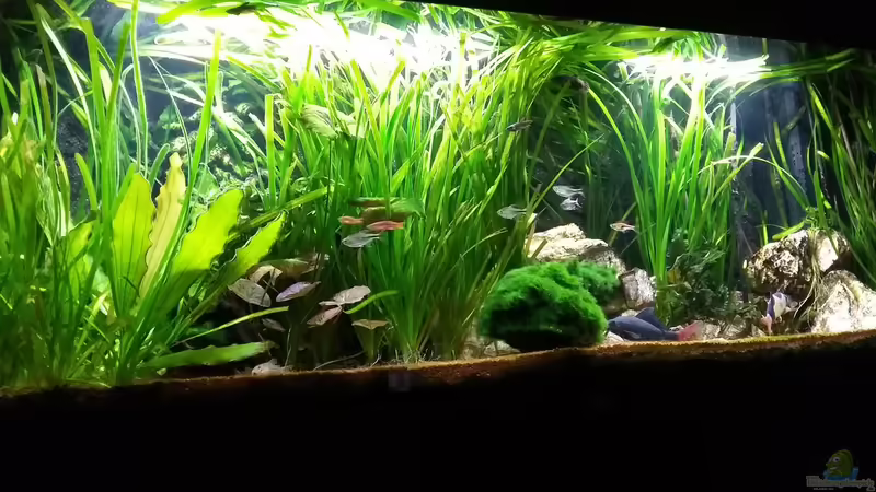 03.05.2017 von Mark H. (7)