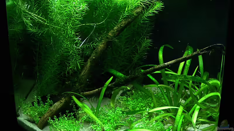 03.06.09 von Mario74 (7)