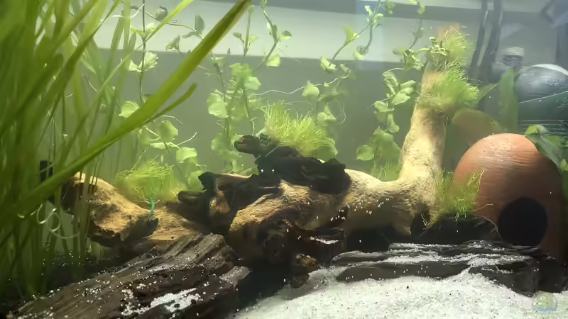 03.06.20 - direkt nach der Ersteinrichtung 0 von AlreadyTaken (3)