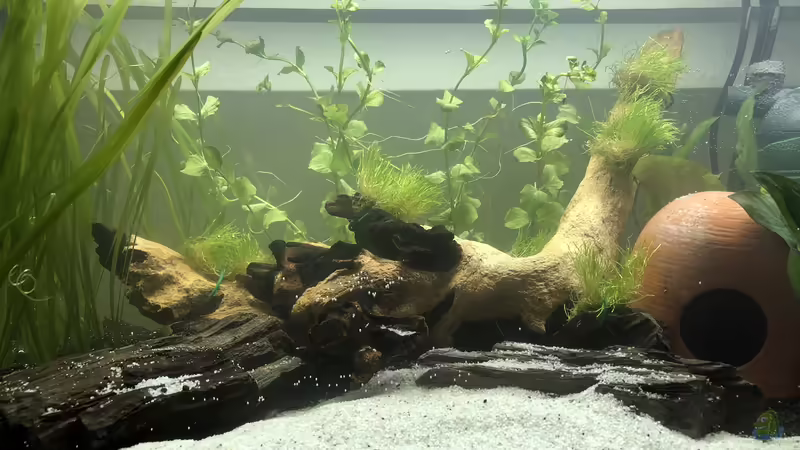 03.06.20 - direkt nach der Ersteinrichtung 0 03.06.20 - direkt nach der Ersteinrichtung 0