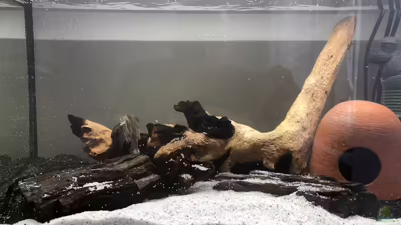 03.06.20 - direkt nach der Ersteinrichtung von AlreadyTaken (2)