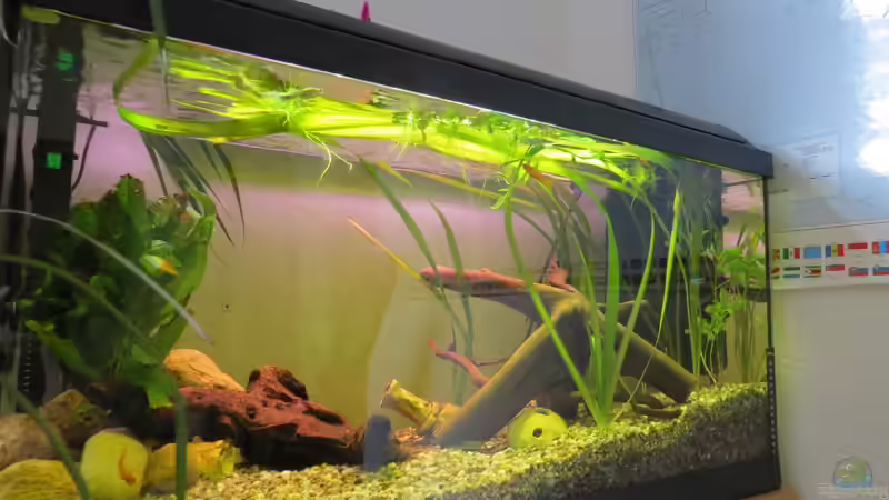 03.07.13 von Joni_99 (5)