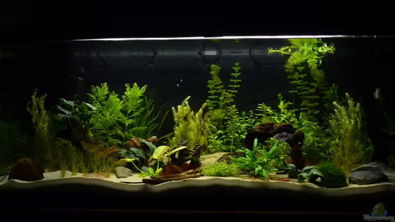 03.07.2012 von gefjon (2)