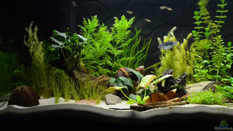 03.07.2012 von gefjon (3)