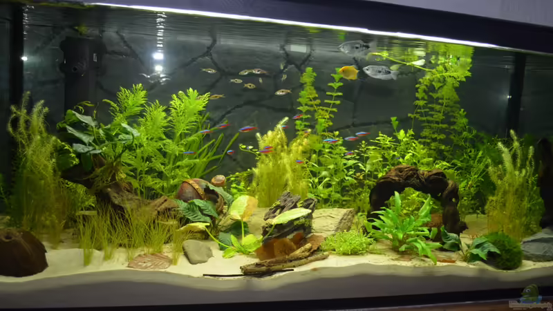 03.07.2012 von gefjon (4)