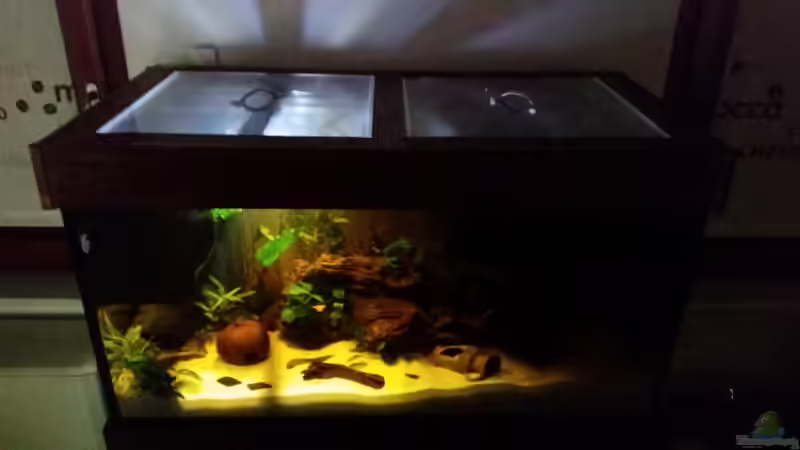 03.07.2016 von SvenDerGroße (10)