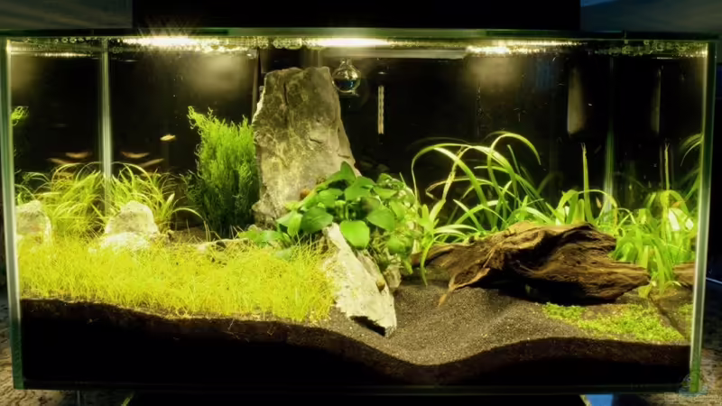 03.08.2010 von Maik A. (3)