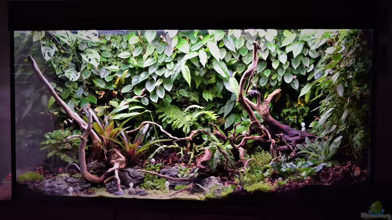 03.08.2022 von Junglist (4)