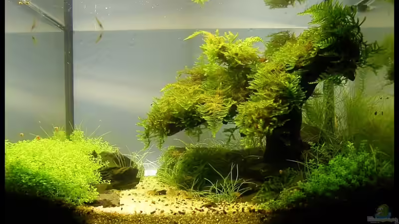 03.09.2008 von Tino Laue (1)