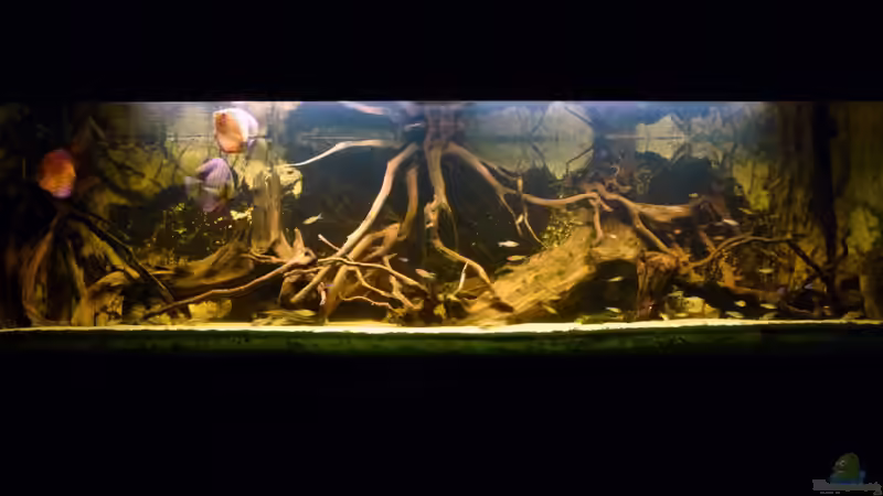 03.09.2012 von carkl (14)