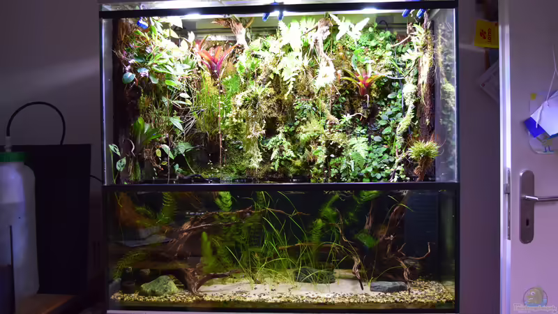 03.09.2018 von Junglist (6)