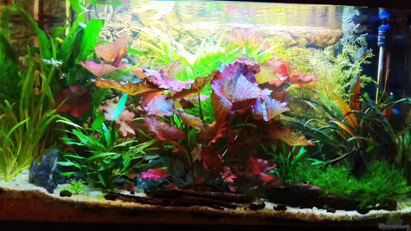 03-10-11 von Sebastian Philipp (2)