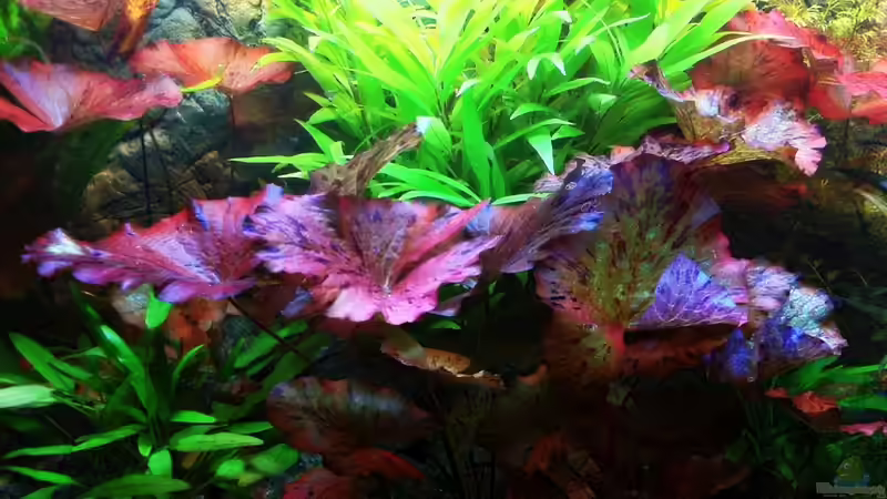 03-10-11 von Sebastian Philipp (22)