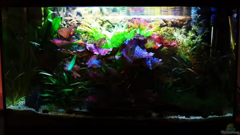 03-10-11 von Sebastian Philipp (3)