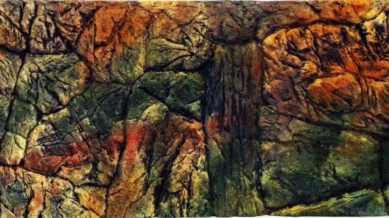 03-10-2011 von Sebastian Philipp (29)