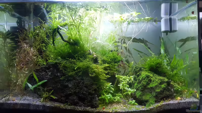 03.10.2018 von Mel (4)