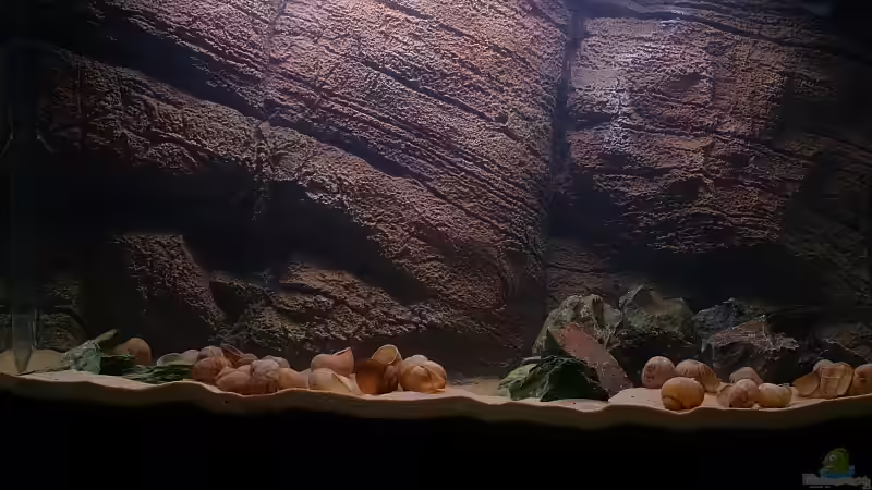 03.11.08 von Sebastian W. (4)