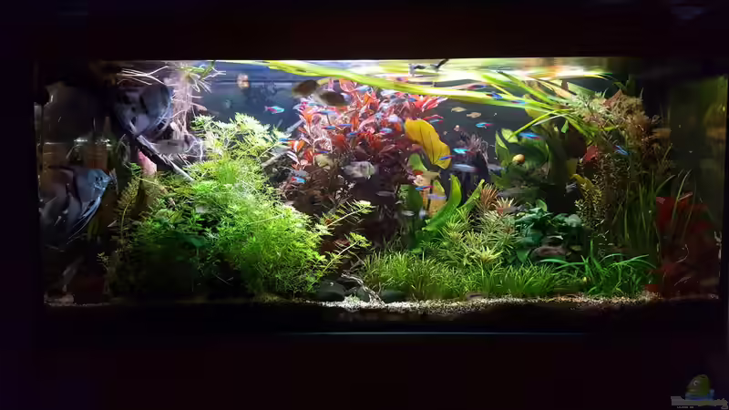 03.11.2018 von Mel (12)