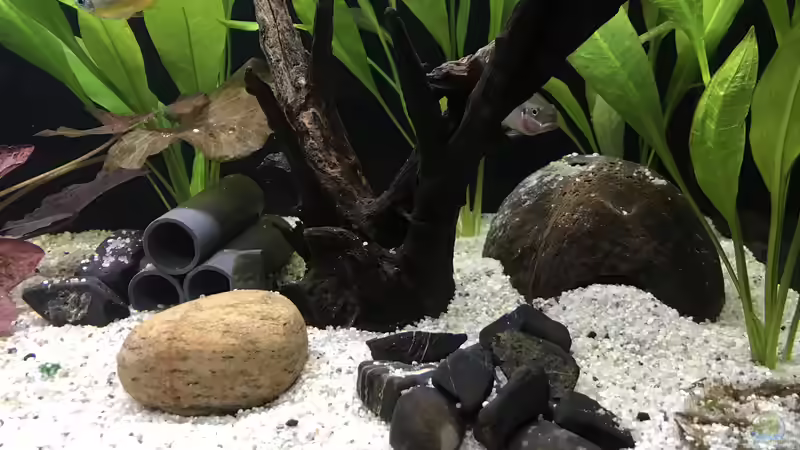 03.11.24 die Kokosnusshöhle wurde aus der Mitte nach rechts vesetzt von herkla (9)