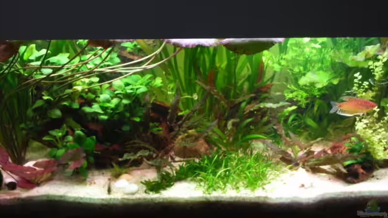 03.12.07 von Susann Czaika (3)